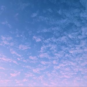 Meet your Posher, Isabella